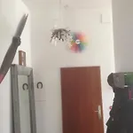 GrafenLoft